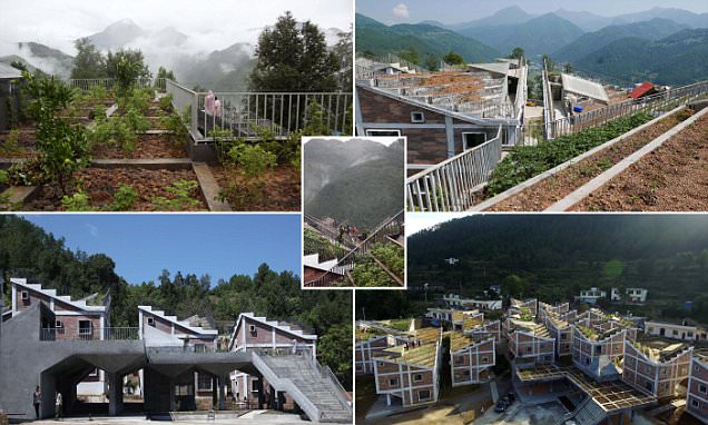 Lahan Terbatas dan Rawan Gempa, Ini Kiat Warga China Bertani di Atap Rumah